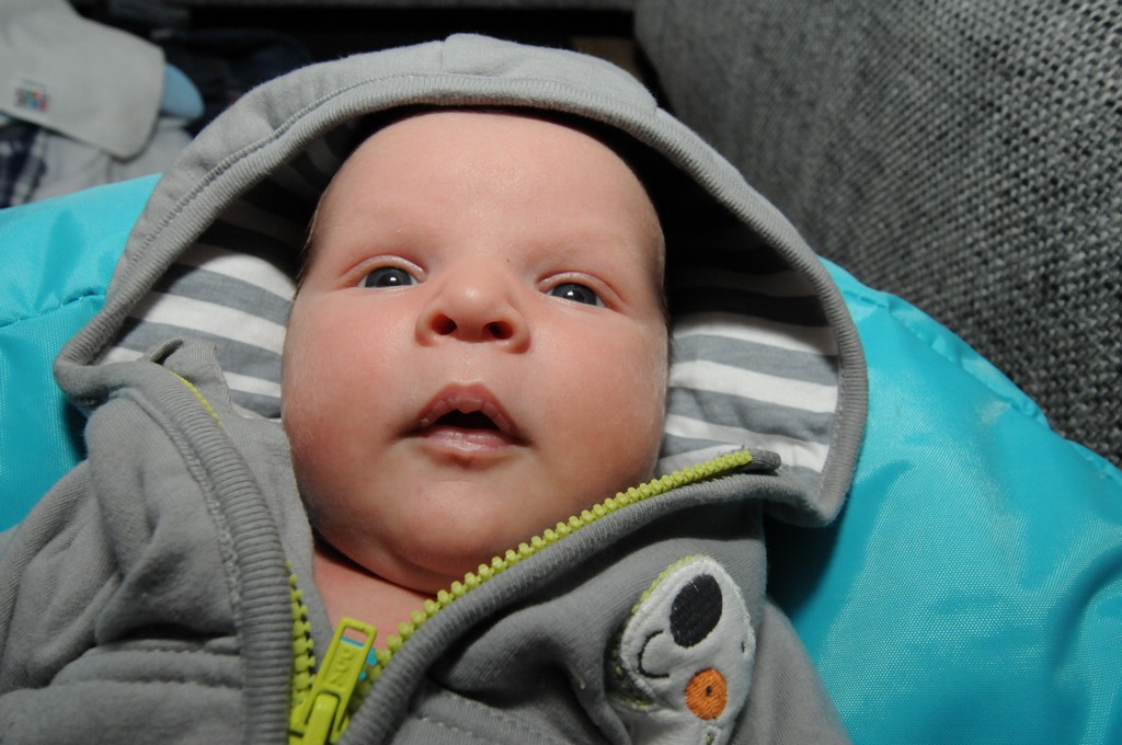 copyright ayrtondevries.nl