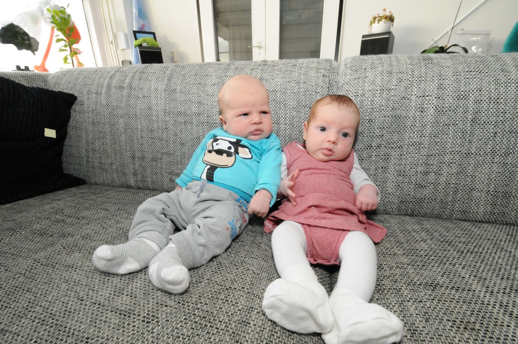 copyright ayrtondevries.nl