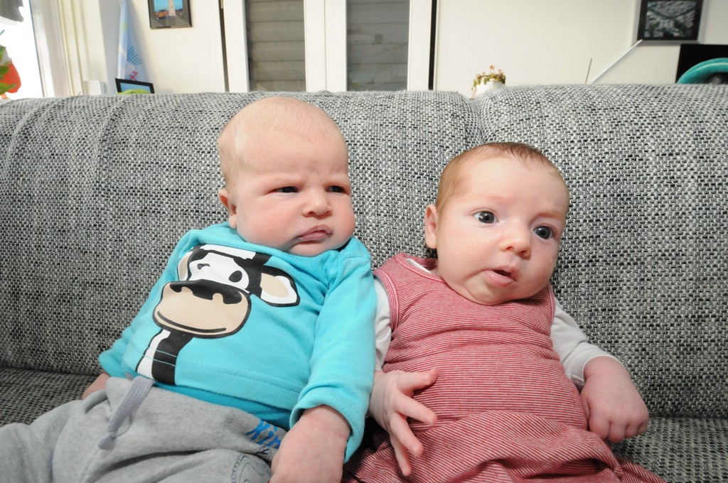 copyright ayrtondevries.nl