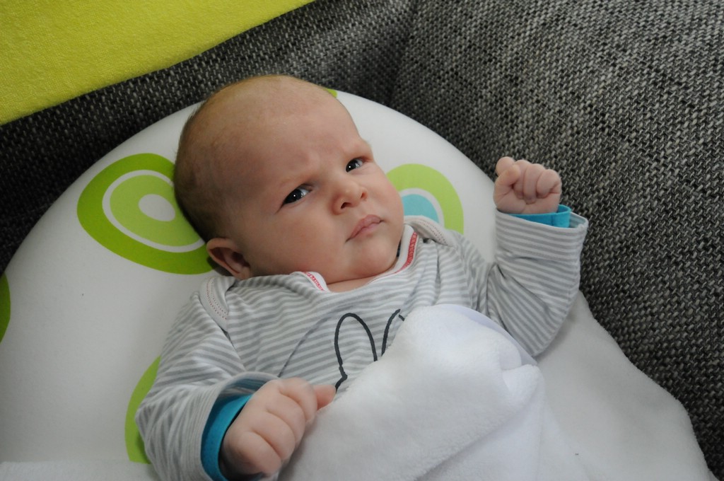 copyright ayrtondevries.nl