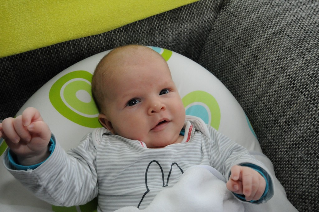 copyright ayrtondevries.nl