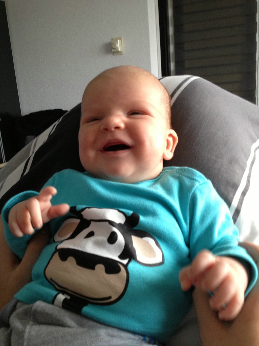 copyright ayrtondevries.nl