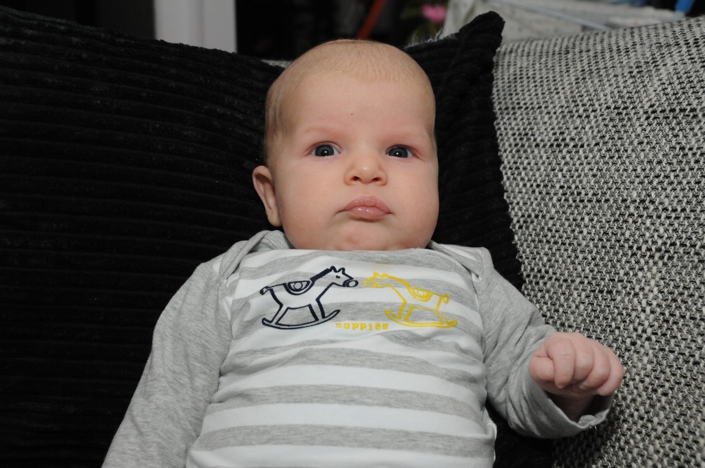 copyright ayrtondevries.nl