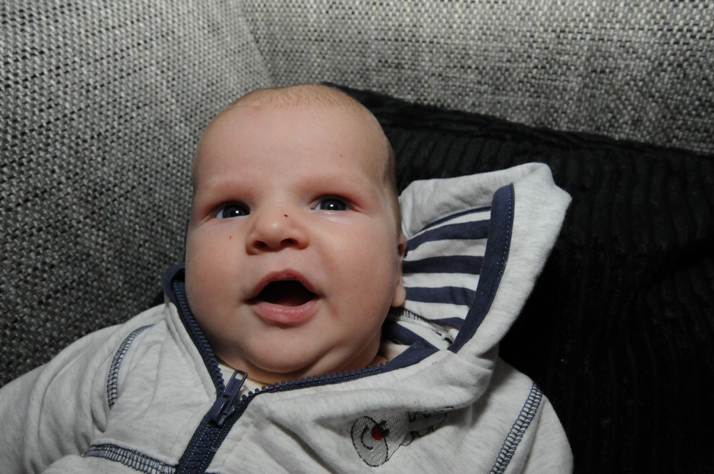 copyright ayrtondevries.nl